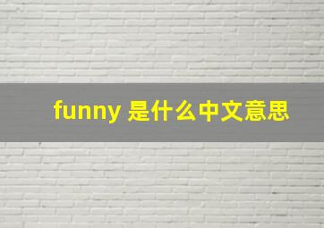 funny 是什么中文意思